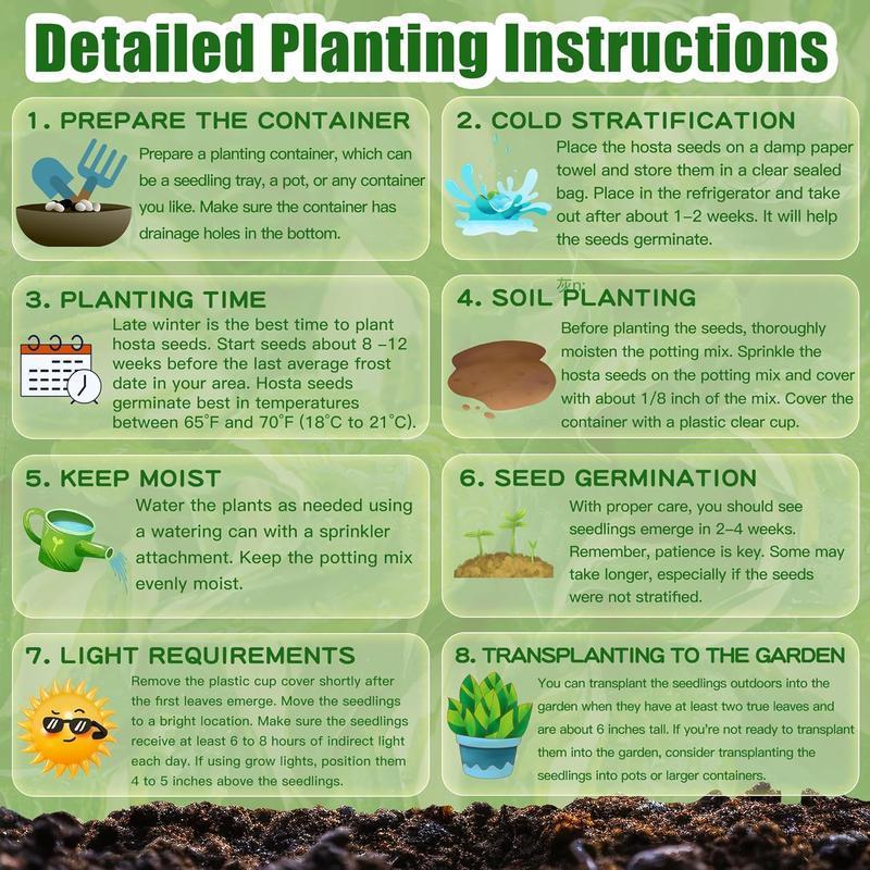 đ„KivĂĄlĂł ajĂĄnlat - 49% kedvezmĂ©nyđ„đ±Vegyes rĂłzsamagok - GMO-mentes, könnyen termeszthetĆ, gyönyörƱ Ă©velĆ virĂĄgok