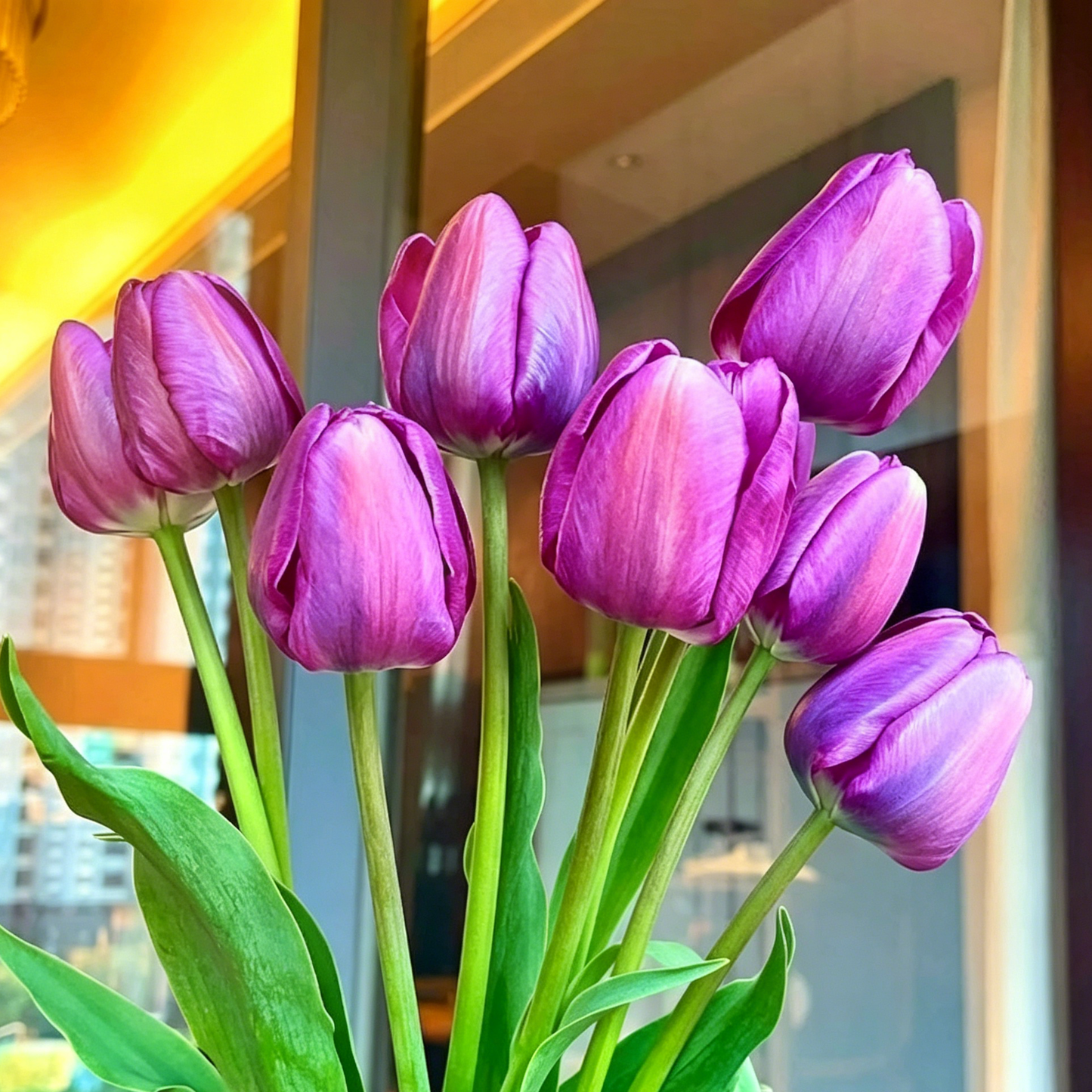 đ·Ritka tulipĂĄnmagok â SzĂnes tavaszi virĂĄgok cserepekbe, szegĂ©lyekbe Ă©s kertekbe