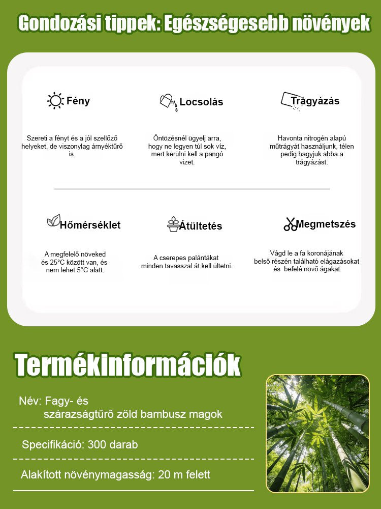 【Levegőtisztító】Fagy- és aszálytűrő zöld bambuszmagok