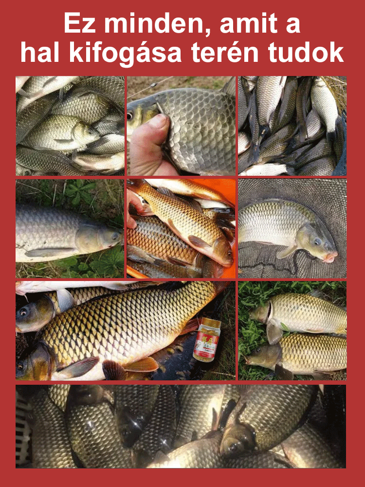 【Csali és etető egyben】 Friss Dánia lusta ember granulált halcsali