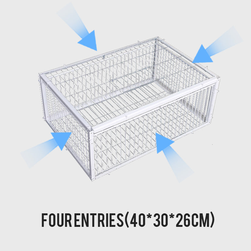 đŸ2024-es Ășj termĂ©kekđŠAutoTrap madĂĄrketrec â csak belĂ©pĂ©s, kilĂ©pĂ©s nĂ©lkĂŒl, talppal