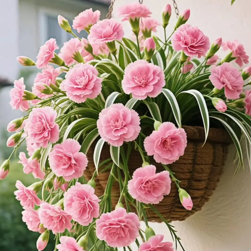 Grand Bloom póknövény magvak/hagymák 💐 A természet függő remekműve a színek és a kecsesség terén