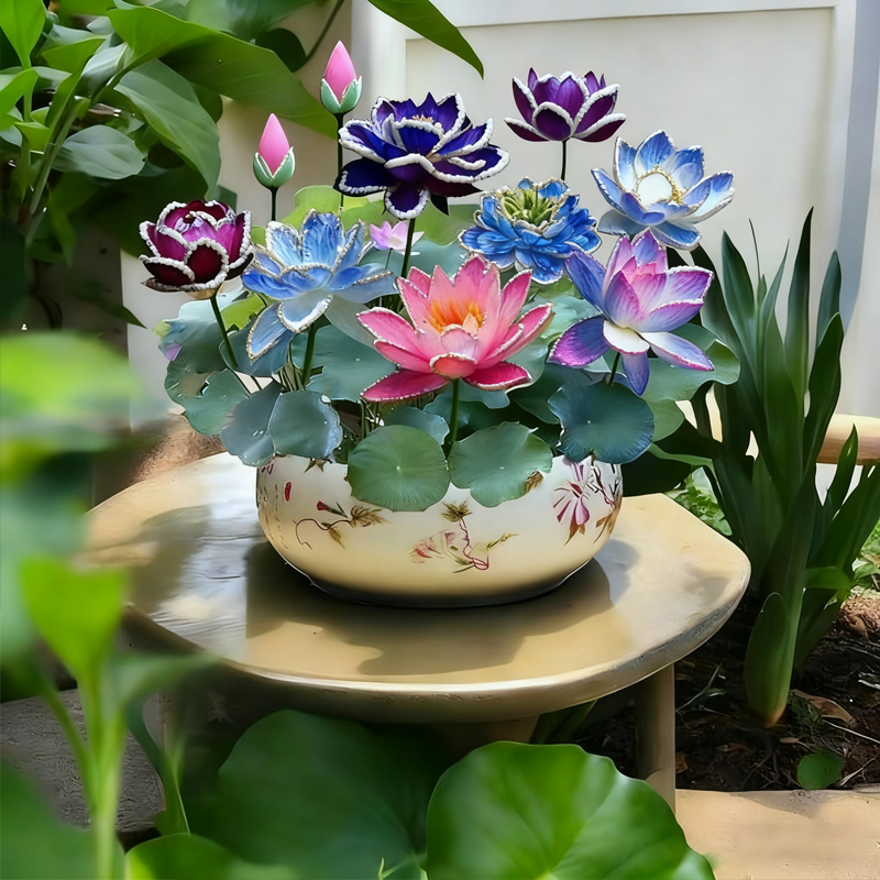 💮Éjféli lila lótuszmagok