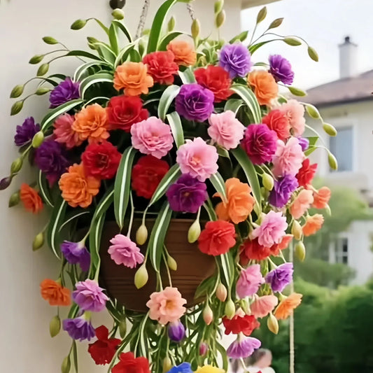 Grand Bloom póknövény magvak/hagymák 💐 A természet függő remekműve a színek és a kecsesség terén