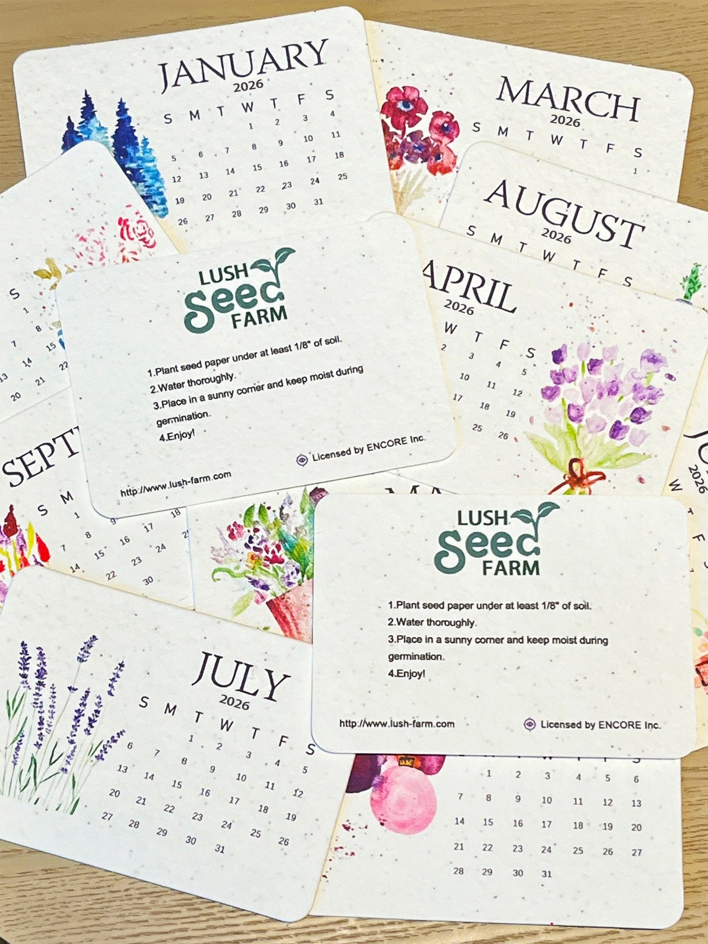 ✨Újdonságok 49% kedvezménnyel ma🌱Környezetbarát Love Seeds ültetési naptár 2026-ra