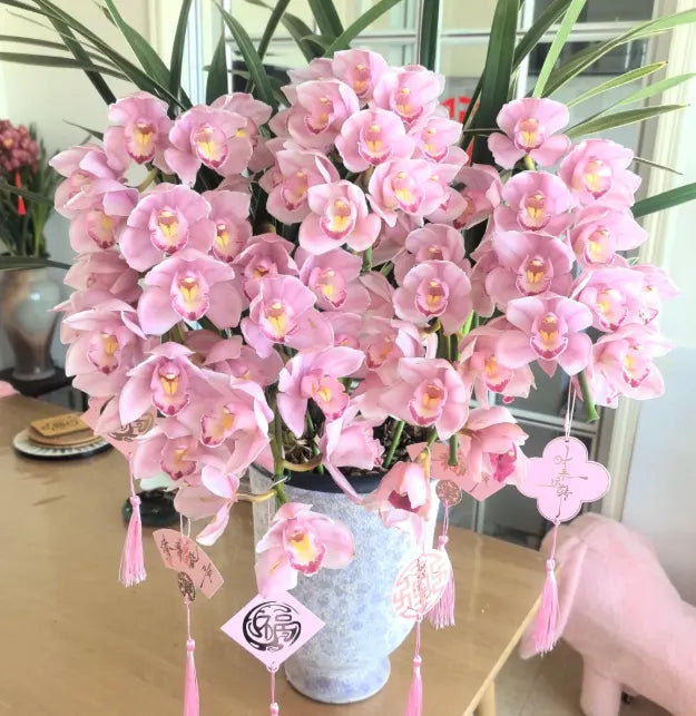 👑 Az orchideák királynője — Tartós Cymbidium hagymák