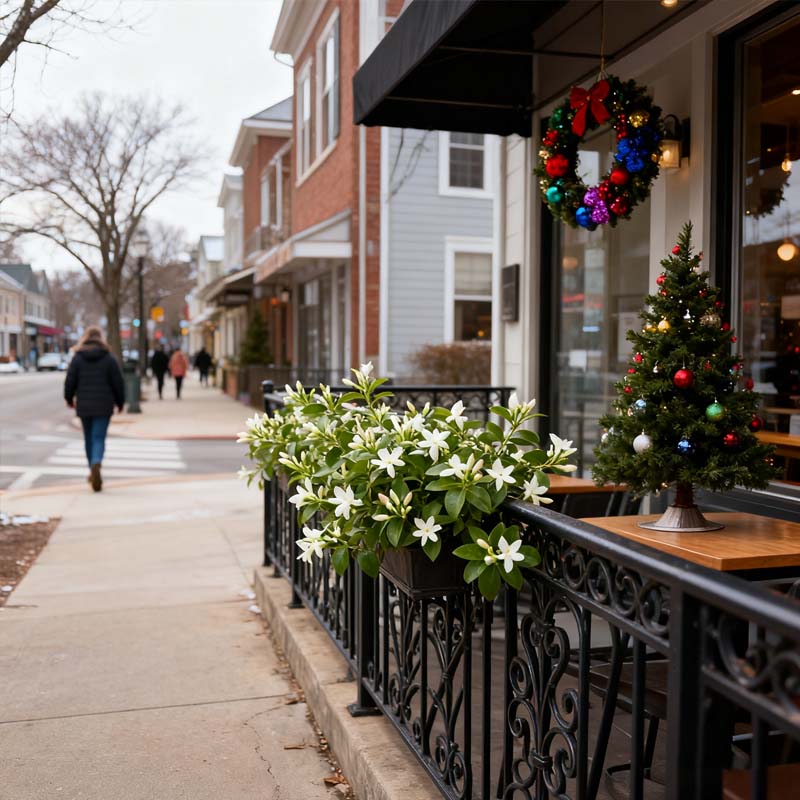 🏆100 ezer+ eladott darab! 🌿❄️ Éjféli illatú jázminmagok – téli ültetés, évelő virágok és illatos kerti elegancia 🌸