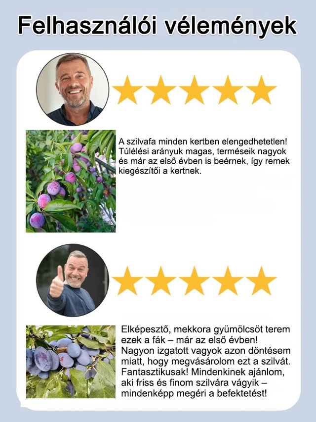 [Elősegíti az emésztést és csökkenti a hasi zsírt] Blue Honey Goddess aszalt szilva magok