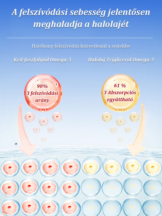 15 nap alatt egészséges ereket biztosít】Antarktiszi krill olaj kapszula