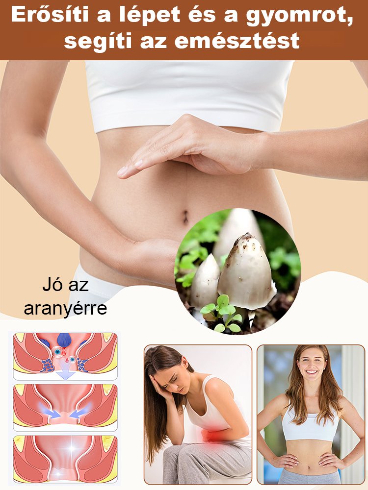 Autentikus "Jizong" gombafajta