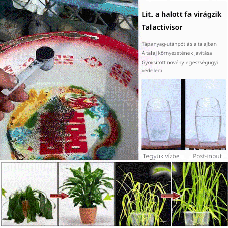 [Tiktok Hot Style] Holtfa virágzás-talajaktivátor-kondicionálás