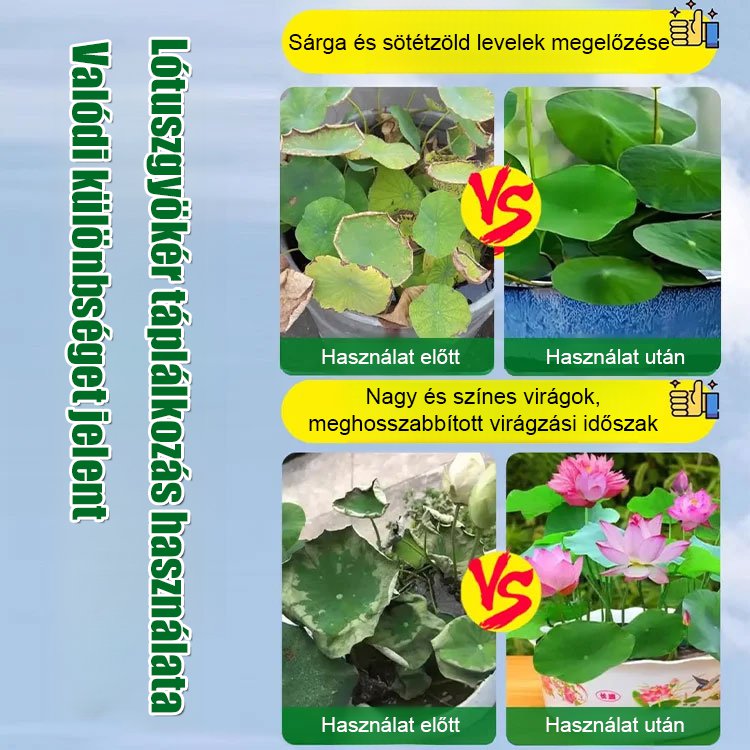 JS-tál lótusz speciális tápoldat