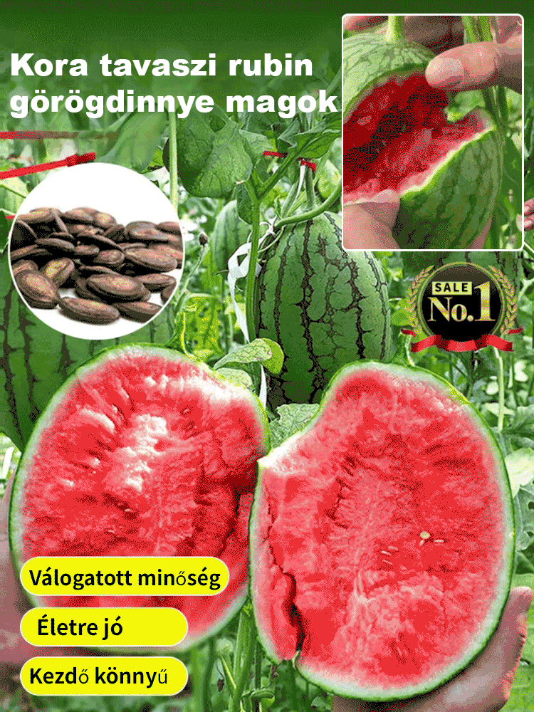 🍉 Mag nélküli „Kirin” görögdinnye – tiszta nyári édesség! 🌞