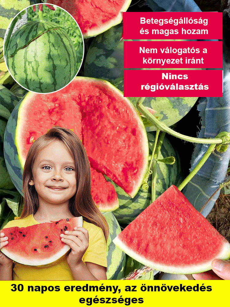 🍉 Mag nélküli „Kirin” görögdinnye – tiszta nyári édesség! 🌞