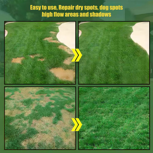 🔥🌱 Törpe örökzöld fűmagok négy évszakra🌾 | Hozd létre a tökéletes gyepedet itt🌼