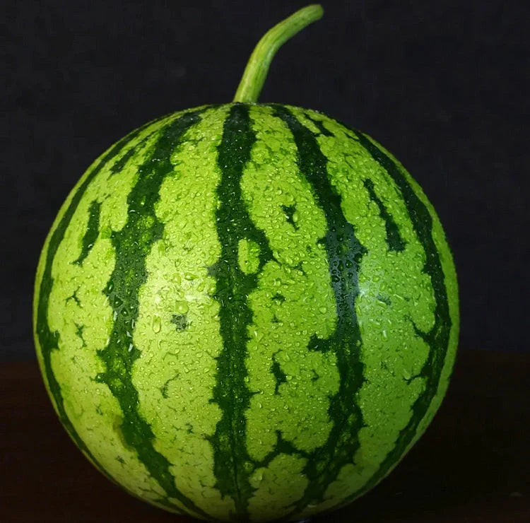 🍉Kora tavaszi vörös jáde – egy édes görögdinnye, amely az egész családot el fogja kápráztatni