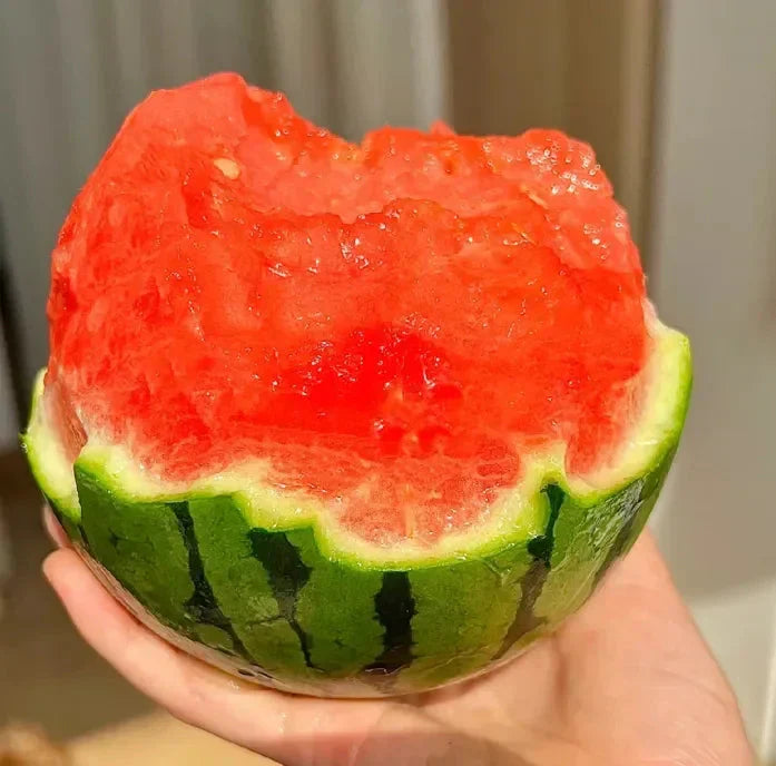 🍉Kora tavaszi vörös jáde – egy édes görögdinnye, amely az egész családot el fogja kápráztatni