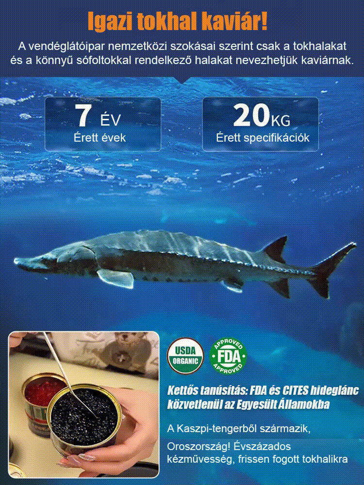 Oroszországban importált tokhal kaviár