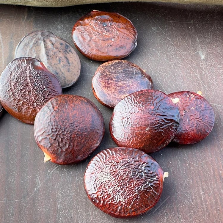 🌸Akácmagok – A kert zuhatagszerű szépsége egész évben💗