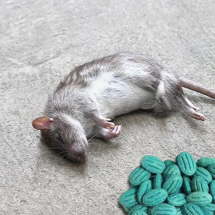 ✨Rendkívül hatékony rágcsálócsalé✨🔥 VEGYÉL 1-ET, KAPSZ 1-ET INGYEN! 🔥