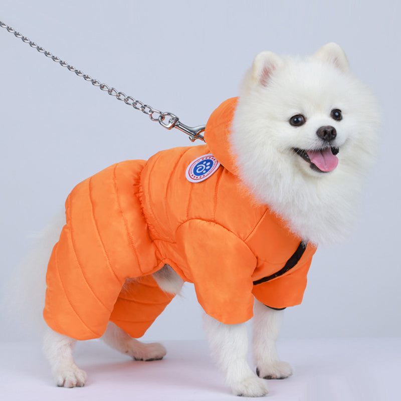 Meleg, szélálló téli ruhák kutyáknak🐕