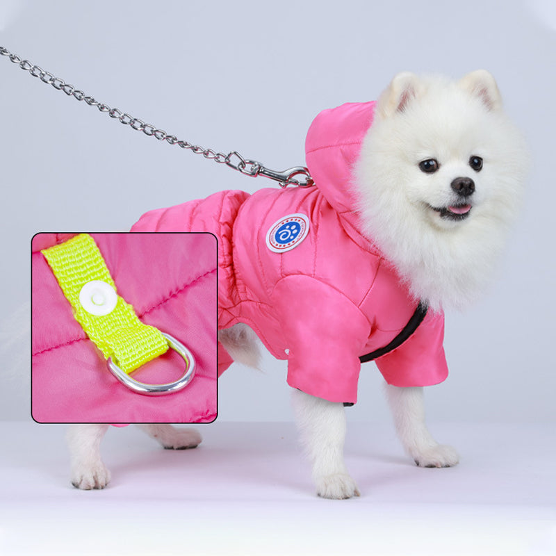 Meleg, szélálló téli ruhák kutyáknak🐕