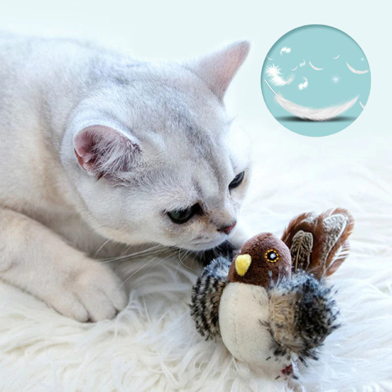 🐱 FRISSÍTETT ARCÚ MACSKAJÁTÉK🐦