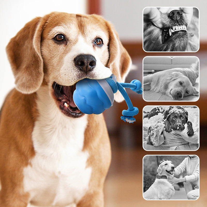 🐶Interaktív elektronikus nyugtatólabda háziállatoknak