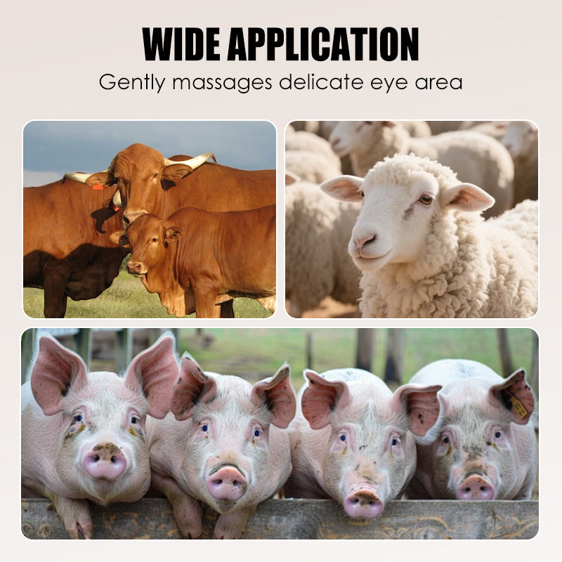 Hatékony kaparó az állatszőr eltávolításához