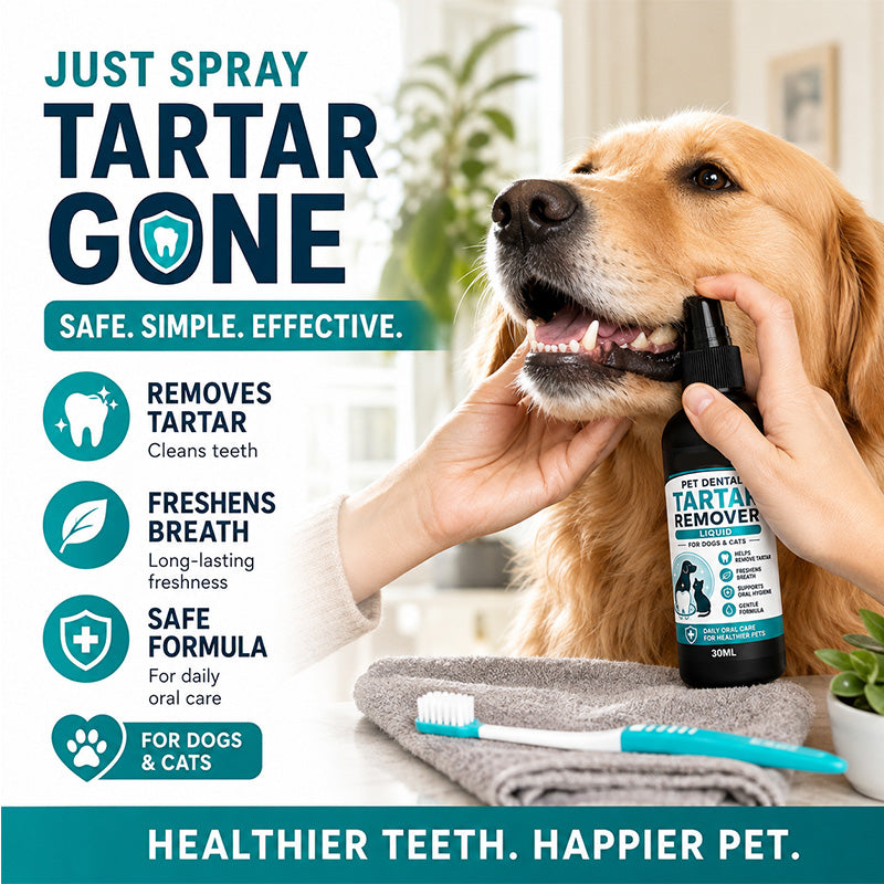 🐾 MOST 50% KEDVEZMÉNY! Kíméletes állatfogtisztító spray – egyszerű fogápolás kutyáknak és macskáknak fogmosás nélkül ✨