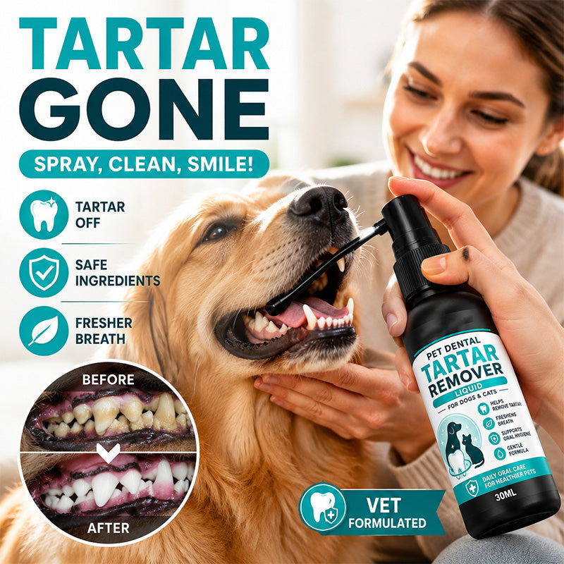 🐾 MOST 50% KEDVEZMÉNY! Kíméletes állatfogtisztító spray – egyszerű fogápolás kutyáknak és macskáknak fogmosás nélkül ✨